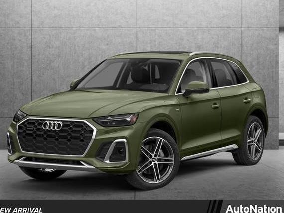 AUDI Q5 E 2023 WA1E2AFY5P2080200 image